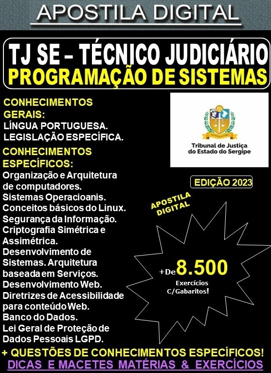 Apostila TJ SE - Técnico Judiciário - PROGRAMAÇÃO DE SISTEMAS - Teoria + 8.500 Exercícios - Concurso 2023