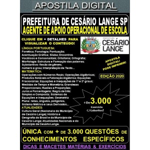 Apostila Prefeitura de CESÁRIO LANGE SP - AGENTE de APOIO OPERACIONAL de ESCOLA - Teoria + 3.000 Exercícios - Concurso 2020