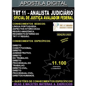 Apostila TRT 11 - Analista Judiciário - OFICIAL DE JUSTIÇA - Teoria + 11.100 Exercícios - Concurso 2023