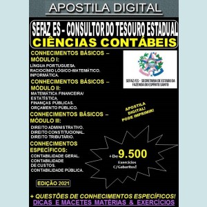 Apostila SEFAZ ES - CONSULTOR do TESOURO ESTADUAL - CIÊNCIAS CONTÁBEIS - Teoria + 9.500 Exercícios - Concurso 2021
