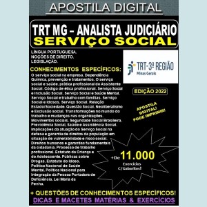 Apostila TRT MG - Analista Judiciário - SERVIÇO SOCIAL - Teoria + 11.000 Exercícios - Concurso 2022